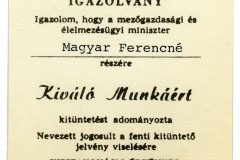 Magyar-csalad-14_tv