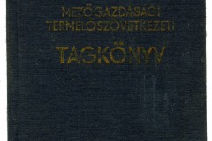 Szatai-Domina-csalad-19_tv